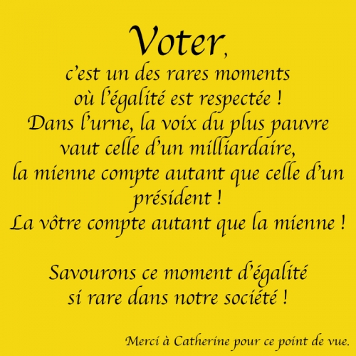voter.jpg